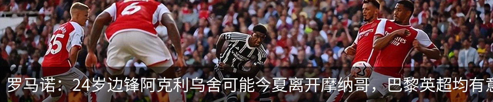 新闻动态