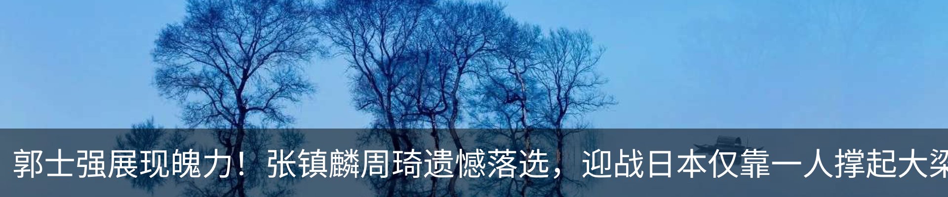 新闻动态