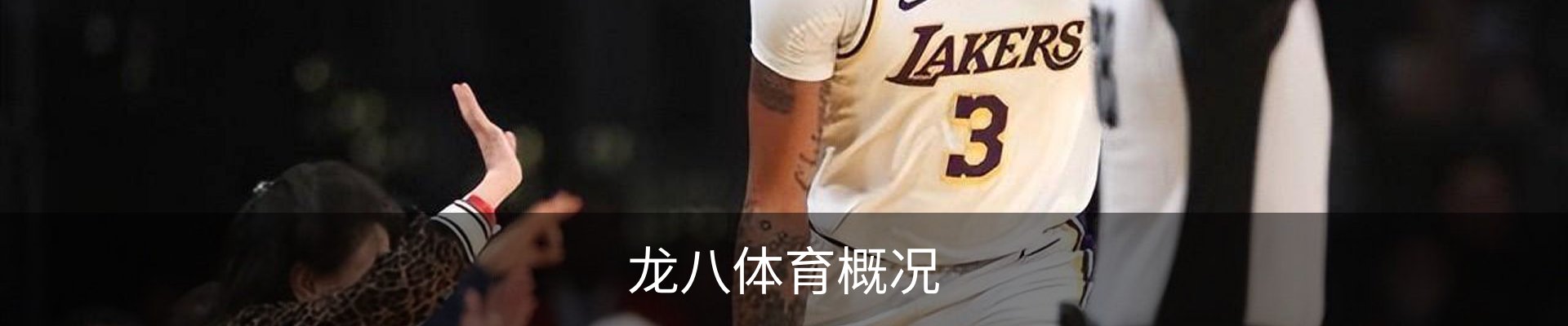 龙八体育概况